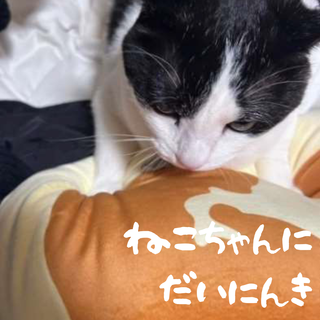北海道チーズ蒸しケーキFANBOOK ねこちゃんにだいにんき